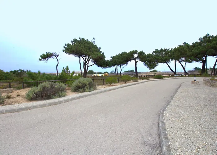 Wot Pinhalmar Soul 3* Peniche